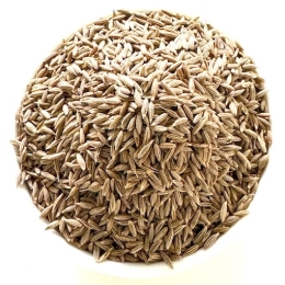 Graines de cumin